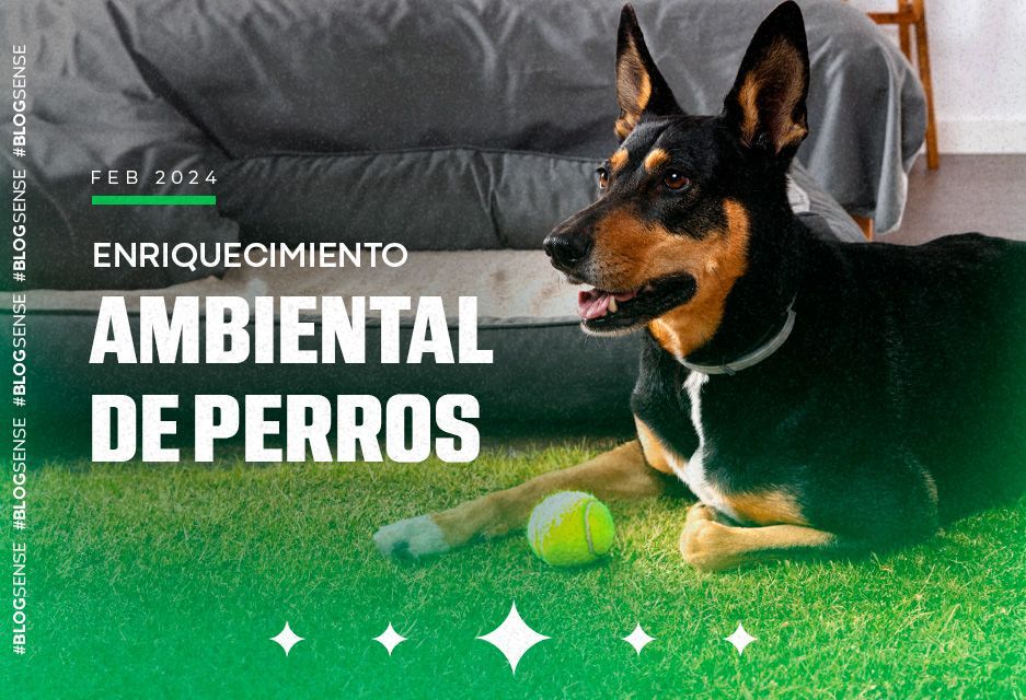 Enriquecimiento ambiental de perros